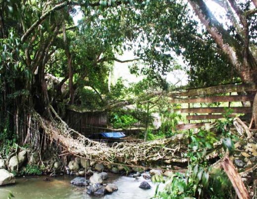 WartaPKU.com Melihat Kebesaran Allah di Jembatan Aka dan Air Terjun Bayang Sani Pesisir Selatan
