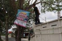 Selamatkan Pohon Peneduh Jalan, Bapenda Pekanbaru Copot Paksa Ratusan Spanduk Ilegal